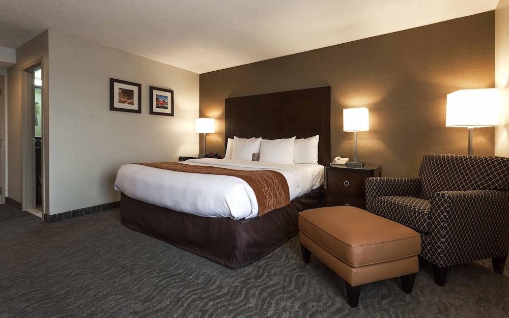 Best Western Chicago - Даунърс Гроув Екстериор снимка