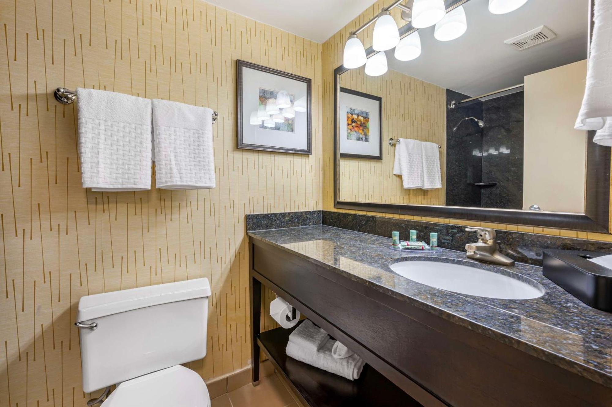 Best Western Chicago - Даунърс Гроув Екстериор снимка
