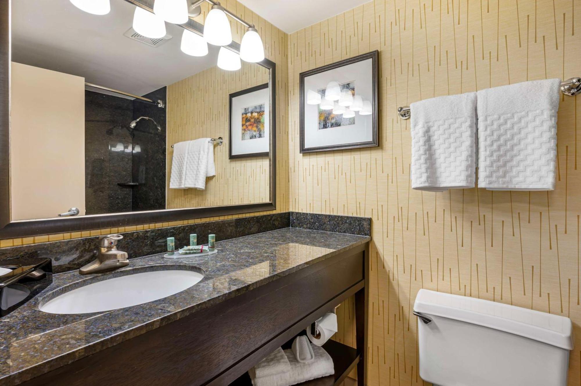 Best Western Chicago - Даунърс Гроув Екстериор снимка